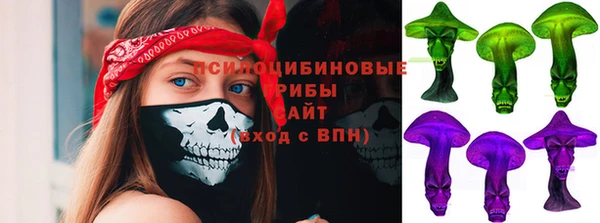 амф Медногорск