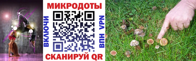 Галлюциногенные грибы Psilocybine cubensis  MEGA как зайти  Калязин 